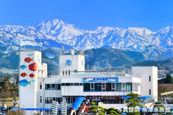 魚津水族館