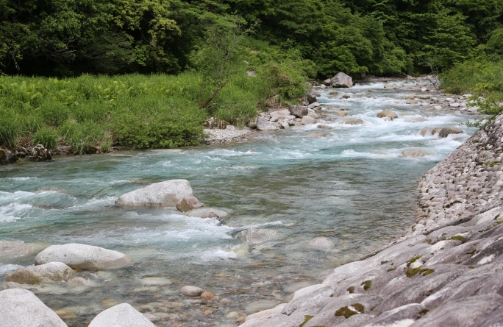 ふるさと魚津へ